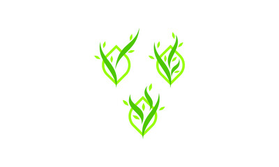 plant nature logo icon vector symbol