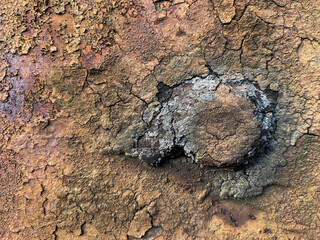 Photographs of various textures for backgrounds