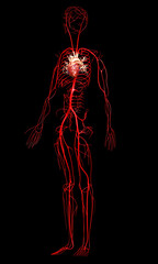 3d rendered medically accurate illustration of  arteries