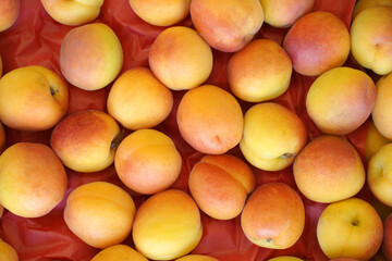 fresh apricots on the red paper