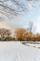 Concord, Boston - December 05, 2019: Sunset on winter day with snow and trees