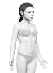 3d rendered illustration of the young Girl body