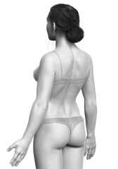Fototapeta premium 3d rendered illustration of the female body