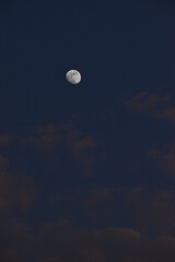 Naklejka na ściany i meble Moon and cloud on blue sky.