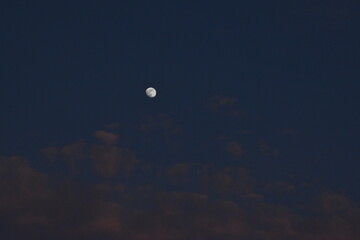 Naklejka na ściany i meble Moon and cloud on blue sky.
