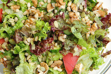 fresh vegetable salad tomatoes, cucumbers, lettuce leaves, pine nuts, walnuts