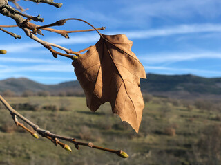 Otoño