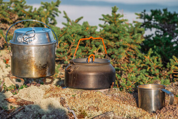 Obraz premium mug and a kettle standing on a gas burner against Pinus sylvestris Albyns