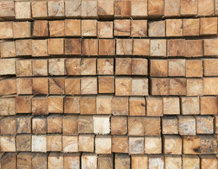 Cross section of timber wood Wood texture, wooden pallet