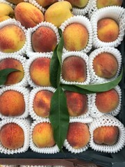 
Peach fruits from Uzbekistan 2