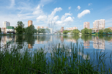 Naklejka premium W parku „Staw fabryczny”, Reutov, obwód moskiewski, Federacja Rosyjska, 06 czerwca 2020 r