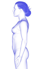 Fototapeta premium 3d rendered illustration of the female body