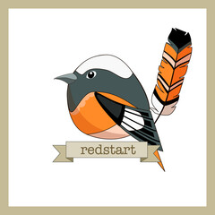Flat style birds with feather. Redstart. Cartoon design. Hand drawn color vector for logo, sticker. Modern fashionable illustration. 