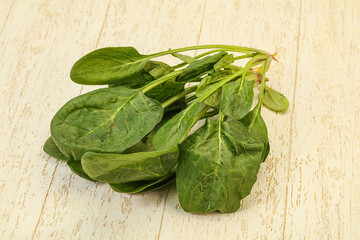 Fresh green Spinach leaves heap