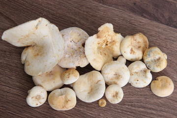 Lots of white Pears of different sizes, top view
