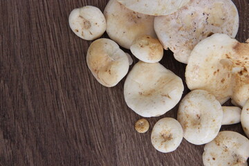 Forest mushrooms on the top right of the center of the photo on a wooden background, you can place the text at the bottom