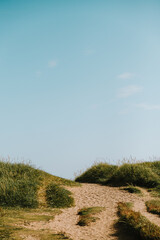 dirt road in the field