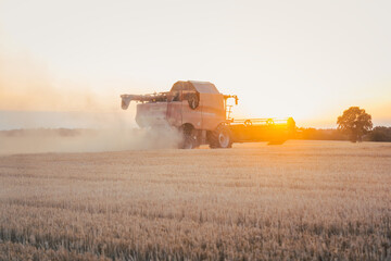 Combine harvester harvesting wheat during sunset