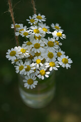 Dekoration G&auml;nsebl&uuml;mchen h&auml;ngend im Glas 