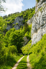 Fototapeta na wymiar Wanderweg bei Stiegelesfelsen im Oberen Donautal nahe Fridingen