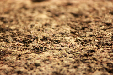 ground texture with sand and stone