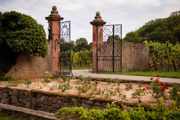 Beautiful authentic gates to the vineyard. French landscape. © Slepitssskaya