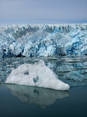Frente glaciar deembocando en el mar de Groenlandia