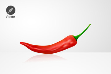 Realistic Chilli. Vector illustration with texture.