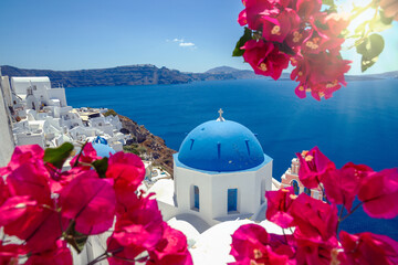Flowering bougainvillea and island of Santorini
