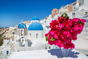 Flowers on a white table of the island of Santorini