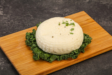 Caucasian suluguni round cheese piece