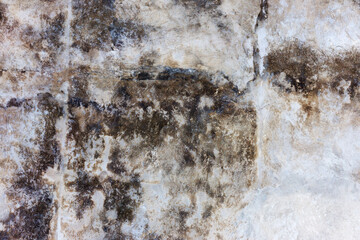 large grunge textures and backgrounds - perfect background with space for text or image