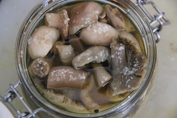 Salted forest mushrooms in the process of salting in a jar, top view