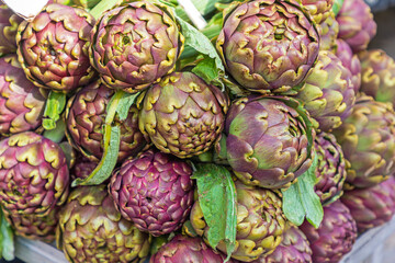 Italian Purple Artichokes