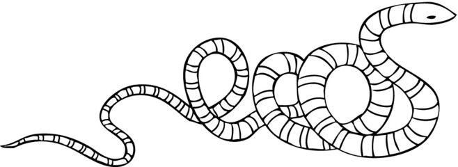 Snake Illustration - Vector Outline Drawing