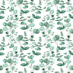 Seamless pattern with watercolor eucalyptus leaves on a white background. green leaves of a tropical plant. Vintage background for wallpaper, textile, wrapping paper, scrapbooking.