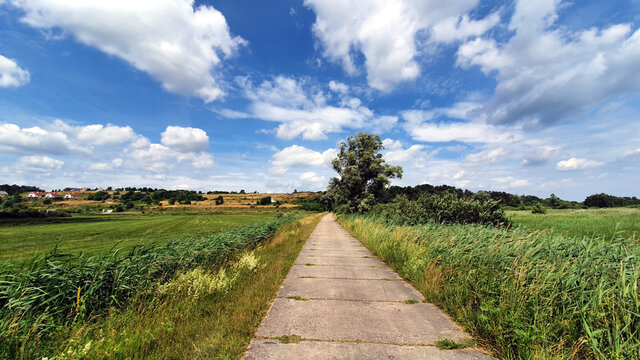 Road made of concrete slabs in Beka Nature Reserve, Poland
