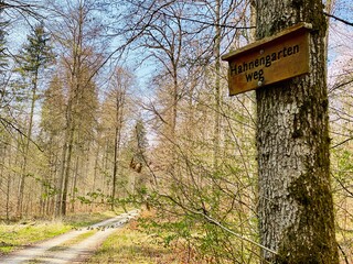 road sign in the park