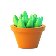 Realistic succulent front view, vector of indoor plant in pot.