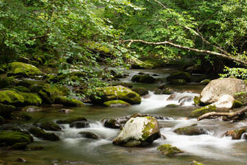 Obraz premium small waterfall in the forest