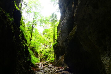 Durchbruch in der Roßbachklamm