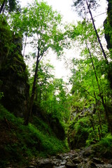 Wandern in der Roßlochklamm