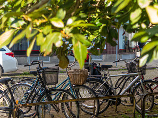 Parked bicycles by a city street. Green leaves in the foreground. High-quality photo