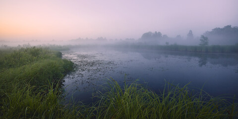 Fototapeta na wymiar Foggy summer white night in swamp among European nature filled with colored light.
