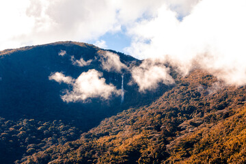 vela de marquezote