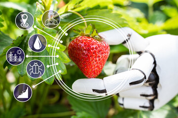 AI Farmer Assistant Picking Fresh Fruit