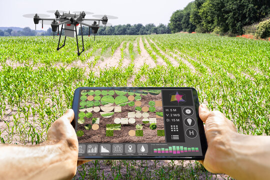 Modern Smart Farming Agriculture Technology At Farm