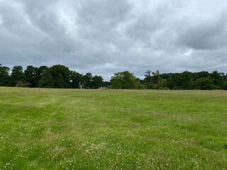 green field and blue sky