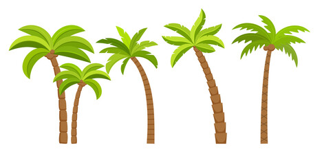 Palm tree vector island coconut cartoon icon. Palmtree island desert isolated tropical icon