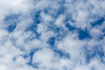 cumulus clouds on a blue sky